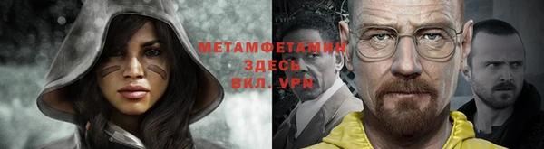 индика Верхний Тагил
