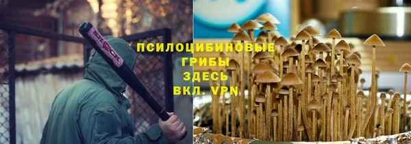 бошки Богородицк
